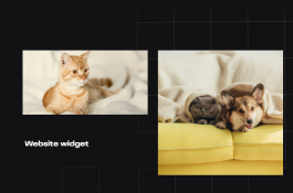 Chatbot in widget on Purina promo site and main site.